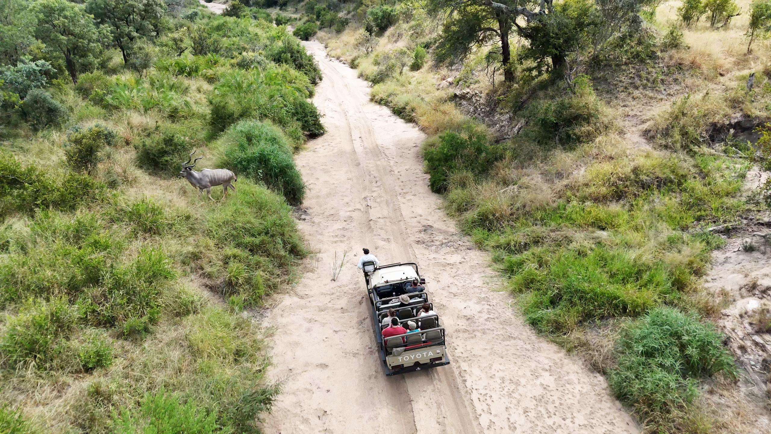 Elephant Plains Game Lodge