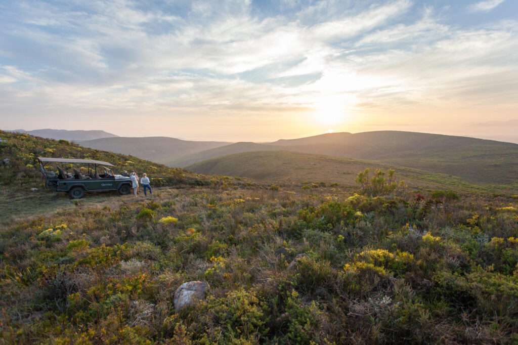 Grootbos Private Nature Reserve - Forest Lodge (68)